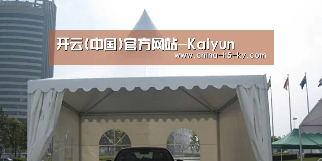 案例标题八