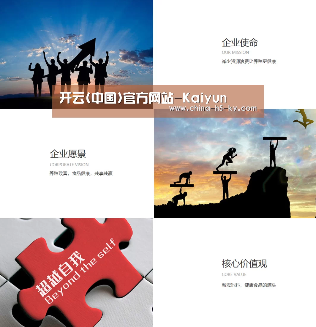 企业文化(图1)